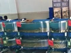 -聚德福海鲜家常菜(刘庄店)