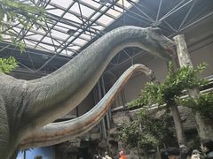 -国家自然博物馆