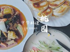-桃园中华料理炸酱面(燕儿岛路店)