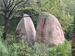 -老张烤羊(王哥庄店)