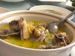 自养大公鸡-安吉胖嫂家