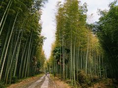 -黄公望隐居地