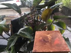 -彼芝奇比萨(红坊店)