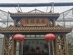 -上海都市菜园