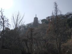 -焦山风景区