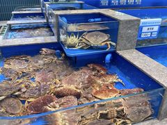 -帝皇海海鲜豆捞(桐泾商务广场店)