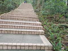 -广州市白云山风景名胜区