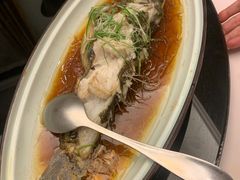 -席家花园(巨鹿花园店)