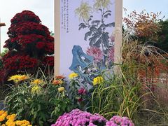 -北京十三陵国家森林公园蟒山景区