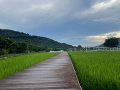 -艾米稻香小镇