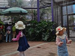 -灵玲国际马戏城
