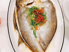 清蒸海立鱼-香香海南菜餐厅