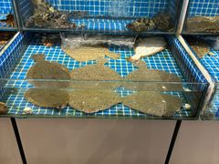 -黑石礁酒楼·海鲜(黑石礁店)