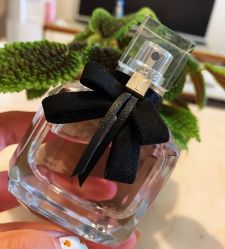 -YVESSAINTLAURENT