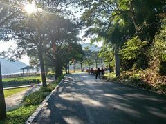 -广州市石门国家森林公园