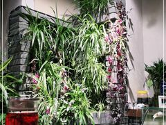 -有才叔的小馆(高新咖啡街区店)