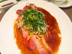 清蒸红瓜子-協成海鮮火鍋(老店)