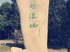 -溱湖国家湿地公园