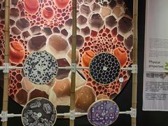 -香港科学馆