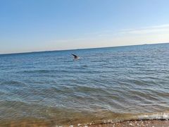 -金梦海湾浴场