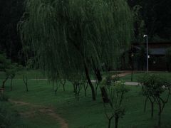 -禹州森林植物园