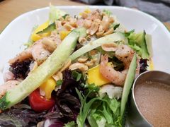 鲜柚芒果沙拉-HELLO 27 意面·沙拉·帕尼尼