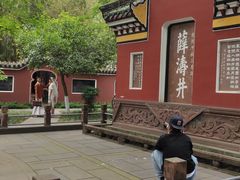 -望江楼公园