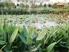 -元鼎宝驴香·全驴宴(江宁店)