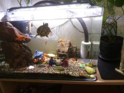 -和寿堂·艾灸·推拿按摩减肥中心