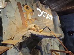 -Zoolung Zoolung动物主题公园(海信广场店)