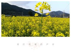 -广东工业大学(大学城校区)