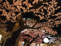 -蓝鲸湾汤泉(包河店)