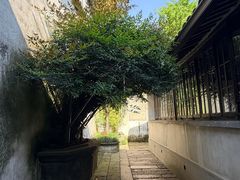 -乌镇东栅景区-茅盾故居