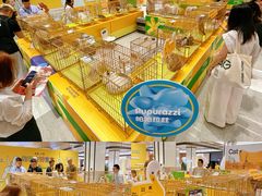 -帕帕拉兹宠物(亚洲旗舰店)