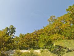 -无染寺