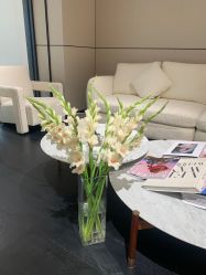 -MuseMarry婚纱(前海嘉里中心店)