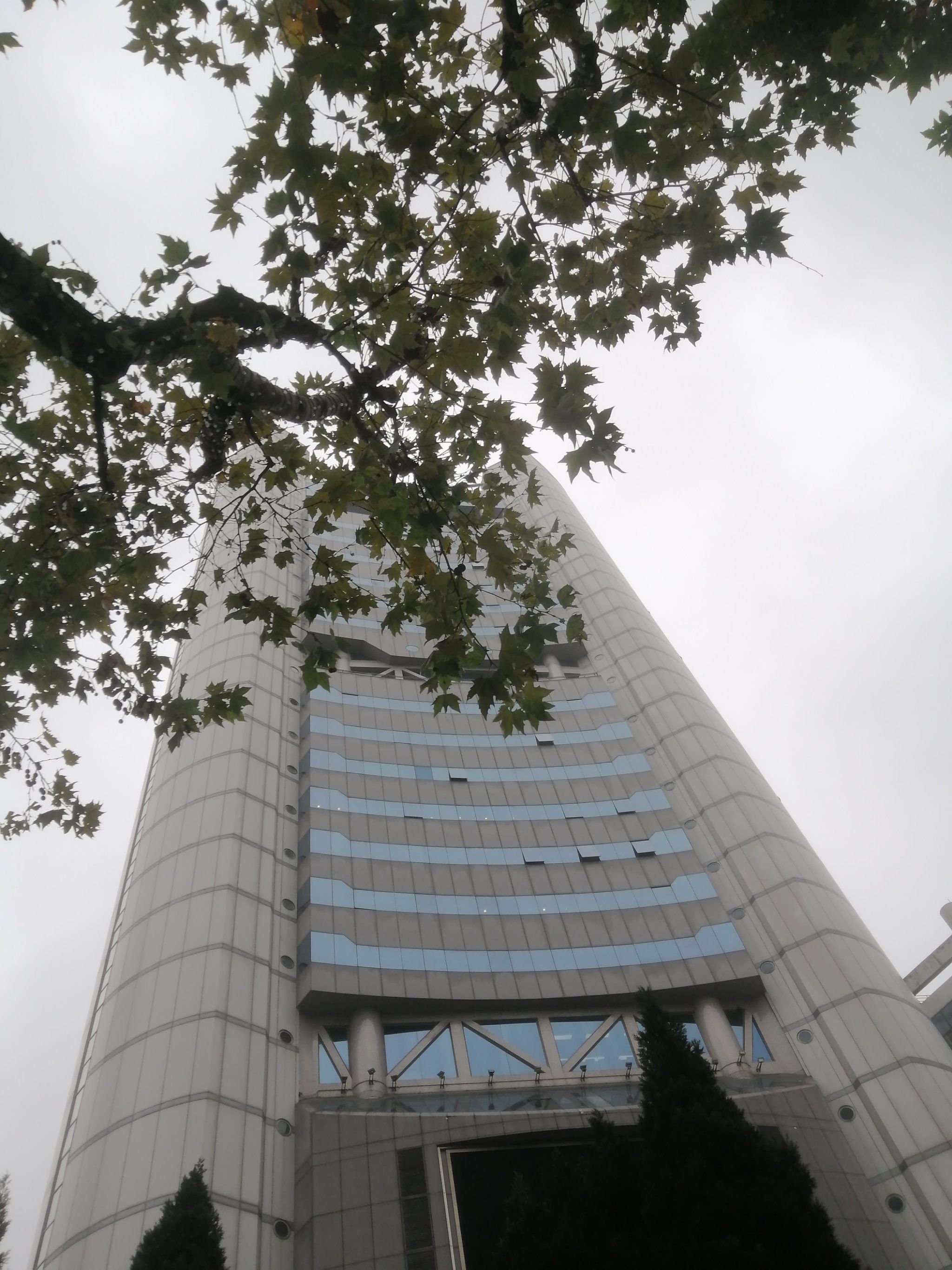 还挺好看的smg广电大厦