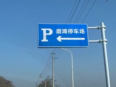-合肥滨湖国家森林公园