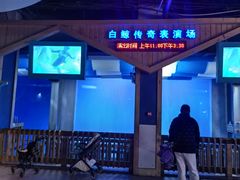 -大连圣亚海洋世界