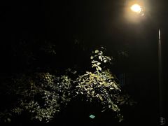 -青岛海尔洲际酒店