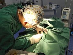 -菲丽丝宠物医院·24小时·猫科中心·免疫点(淮海分院)