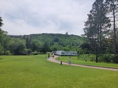 -上海佘山世茂艾美酒店
