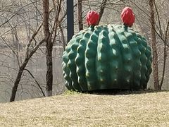 -长白岛森林公园