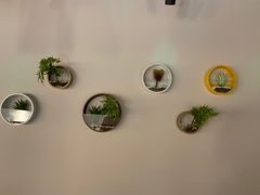 -梧州双钱龟苓膏(丽港航母店)