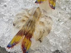 -富来美食