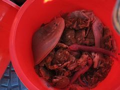-嵊泗基湖沙滩