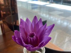 -苏梅花园(群星城店)