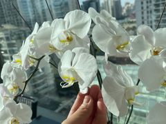 -上海外滩悦榕庄酒店