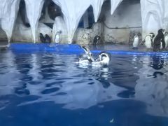 -太平洋海底世界