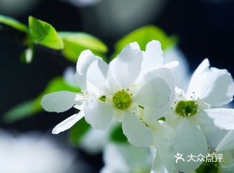 游玩二环边上小众赏花地『日坛公园』人少花美还免费